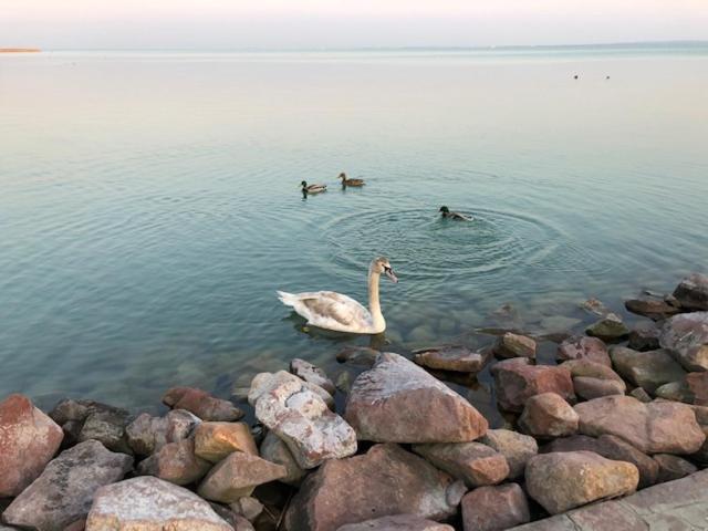 Hotel Astoria Balatonfüred Εξωτερικό φωτογραφία